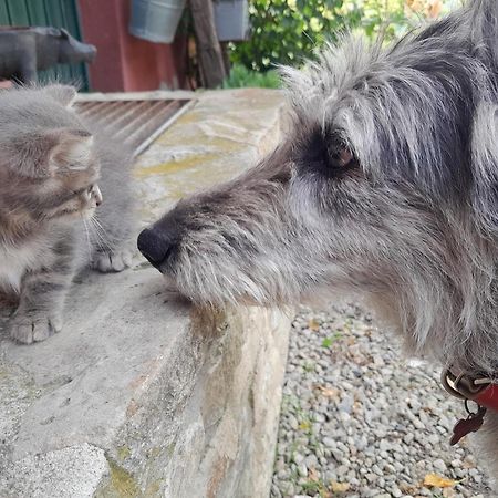 Willa Cascina Sant'Eufemia Sinio Zewnętrze zdjęcie