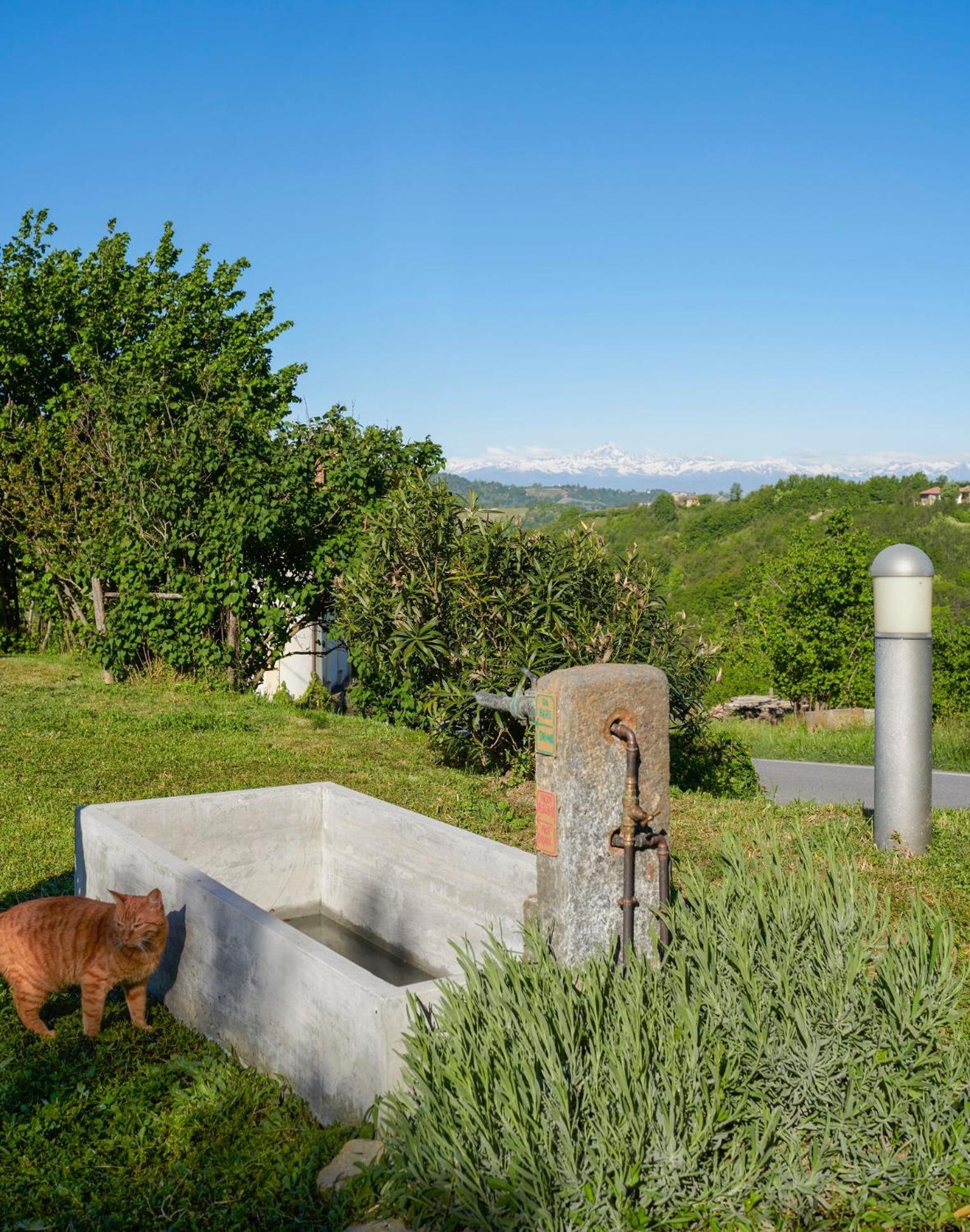 Willa Cascina Sant'Eufemia Sinio Zewnętrze zdjęcie